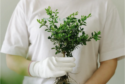 Vegyszermentes kárpittisztítás: Ha fontos a környezet és az egészség