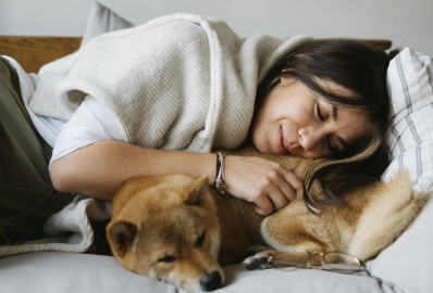 Kárpittisztítás háziállat mellett – hogyan őrizheted meg otthonod tisztaságát?