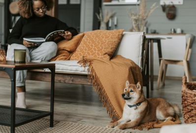 Természetes tisztaság az otthonodban – őszi vegyszermentes kárpittisztítás tippek