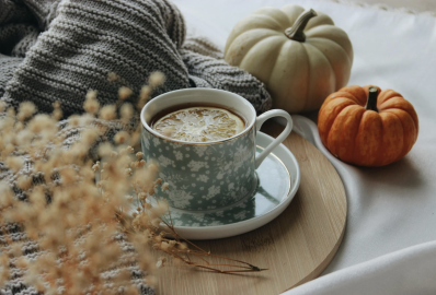Őszi kanapé-túlélőkalauz — amikor a gyerek, a kutya és az időjárás összefognak ellened